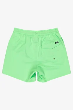 Quiksilver Zwemshort Surfsilk Solid Volley 16In