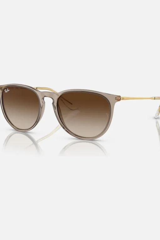Ray-Ban Zonnebril RB4171