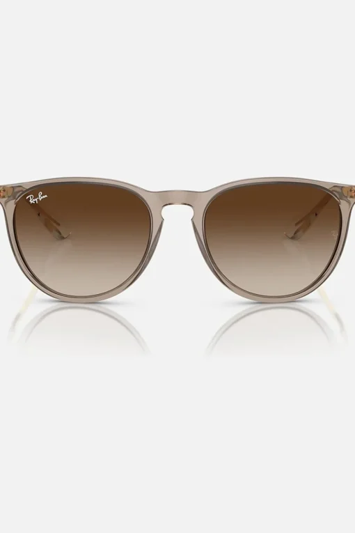 Ray-Ban Zonnebril RB4171