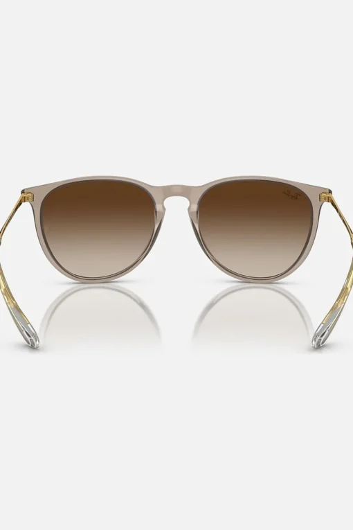 Ray-Ban Zonnebril RB4171
