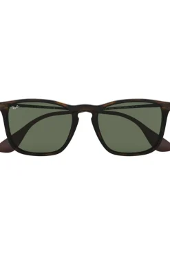 Ray-Ban Zonnebril RB4187