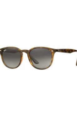 Ray-Ban Zonnebril RB4259