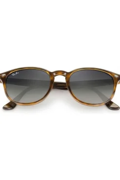 Ray-Ban Zonnebril RB4259