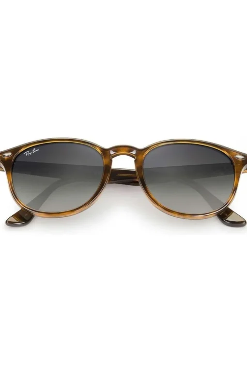 Ray-Ban Zonnebril RB4259