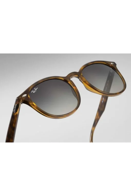 Ray-Ban Zonnebril RB4259