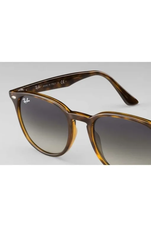 Ray-Ban Zonnebril RB4259