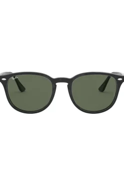 Ray-Ban Zonnebril RB4259