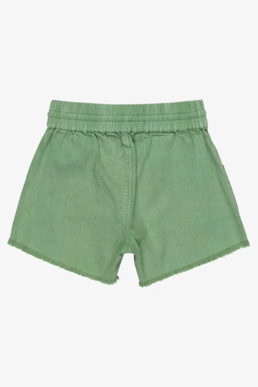Roxy Short Scenic Route Twill