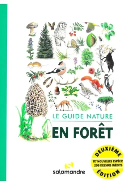 Salamandre Le guide nature en forêt