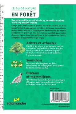 Salamandre Le guide nature en forêt