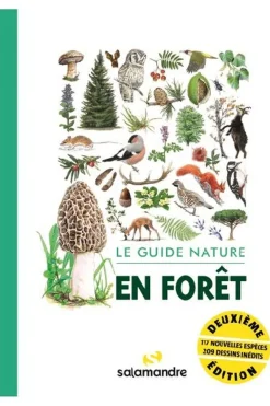 Salamandre Le guide nature en forêt