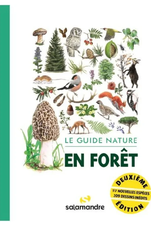 Salamandre Le guide nature en forêt