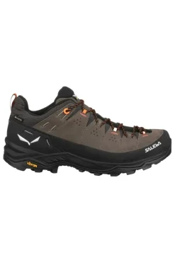 Salewa Schoen Alp Trainer 2 Gore-Tex