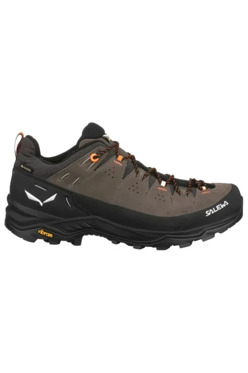 Salewa Schoen Alp Trainer 2 Gore-Tex