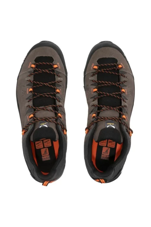 Salewa Schoen Alp Trainer 2 Gore-Tex