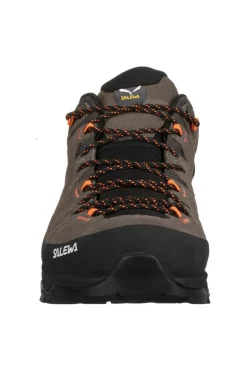 Salewa Schoen Alp Trainer 2 Gore-Tex