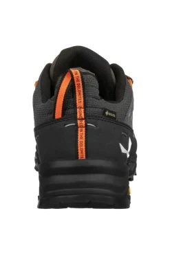 Salewa Schoen Alp Trainer 2 Gore-Tex