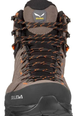 Salewa Schoen Alp Trainer 2 Mid Gore-Tex