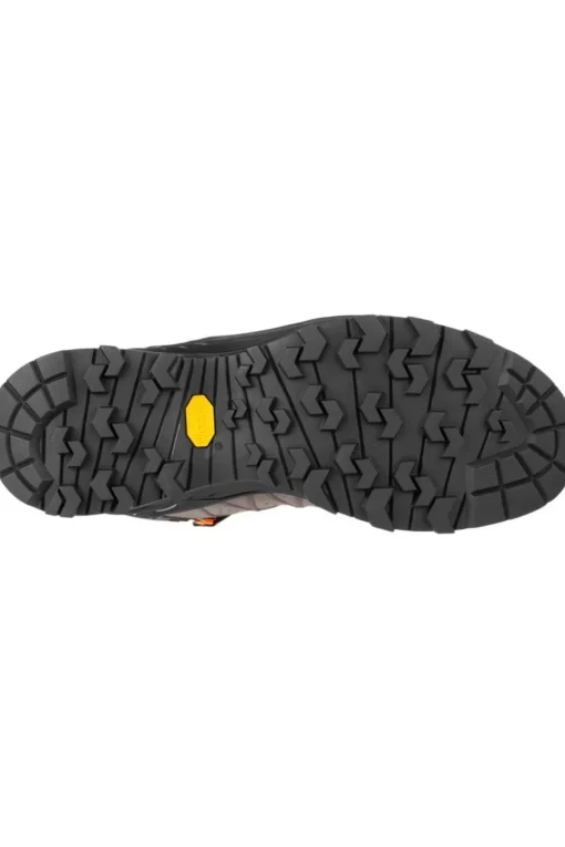 Salewa Schoen Alp Trainer 2 Mid Gore-Tex