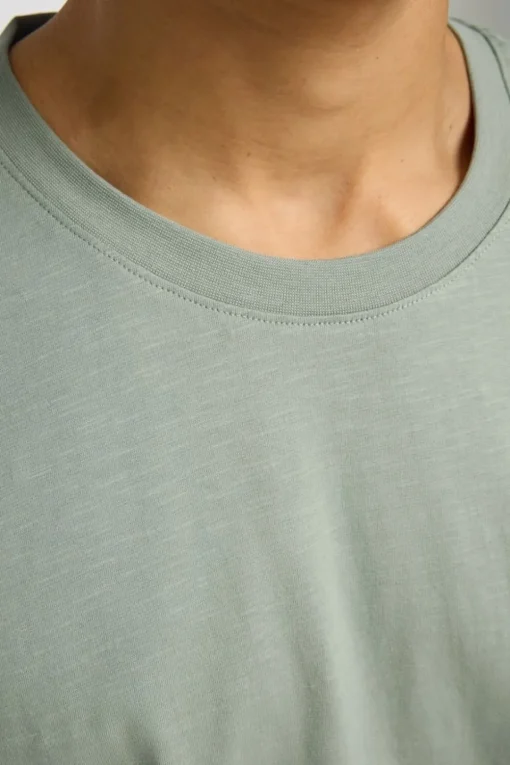 Selected T-Shirt Aspenub