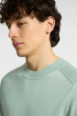 Selected T-Shirt Tray