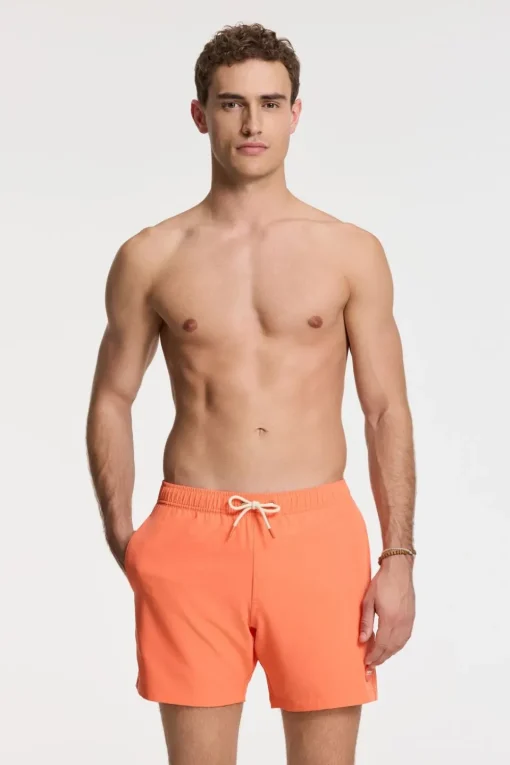 Shiwi Zwemshort Scott Stretch 6 Inch Solid