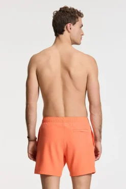 Shiwi Zwemshort Scott Stretch 6 Inch Solid