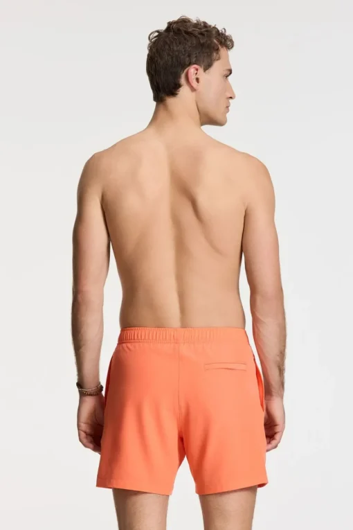 Shiwi Zwemshort Scott Stretch 6 Inch Solid