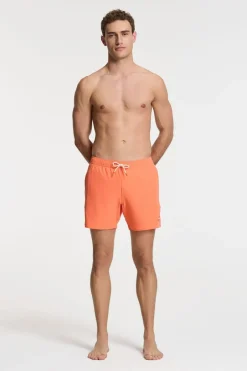Shiwi Zwemshort Scott Stretch 6 Inch Solid