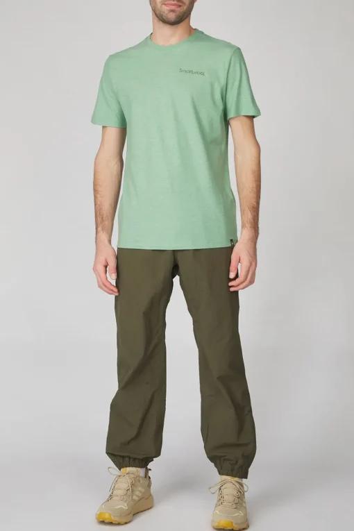 Smartwool T-Shirt Nature Vibes Ss