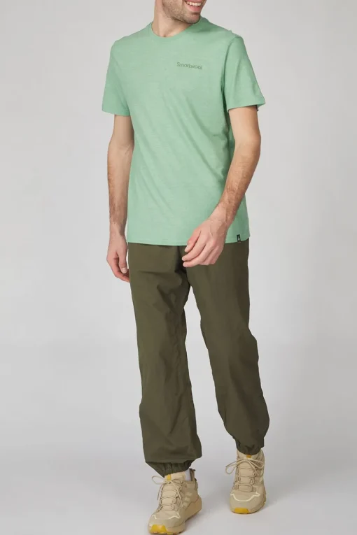 Smartwool T-Shirt Nature Vibes Ss