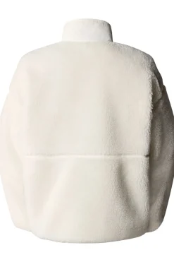 The North Face Cardigan Extreme Pile Pullover
