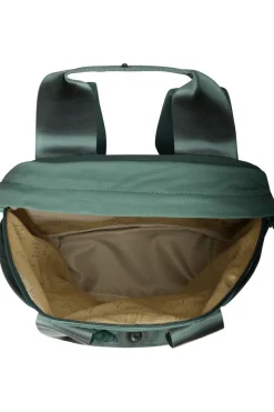 The North Face Dagrugzak W Never Stop 20L