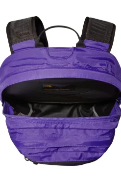 The North Face Dagrugzak Borealis Classic 29L
