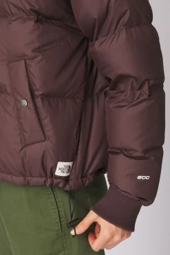 The North Face Donsjas Down Paralta Puffer