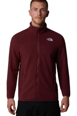 The North Face Fleece 100 Glacier Full Zip