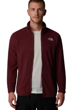 The North Face Fleece 100 Glacier Full Zip