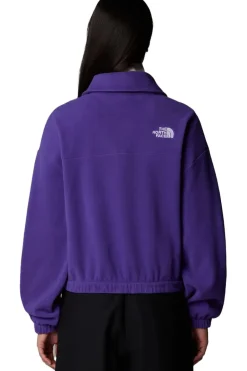 The North Face Fleece 100 Glacier Half Zip