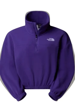 The North Face Fleece 100 Glacier Half Zip