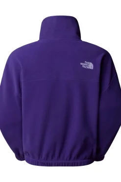 The North Face Fleece 100 Glacier Half Zip