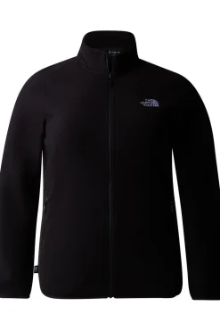 The North Face Fleece Plus 100 Glacier Full Zip