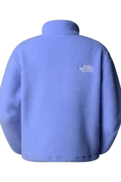The North Face Fleece Tnf Fleeski 1/4 Zip Po
