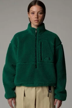 The North Face Fleece Tnf Extreme Pile Pullover