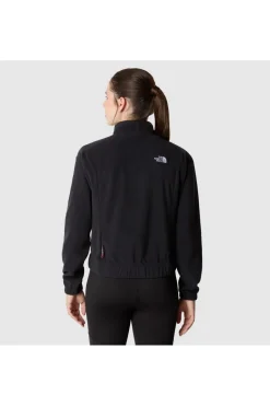 The North Face Fleece W Homesafe Snap Neck Pullover