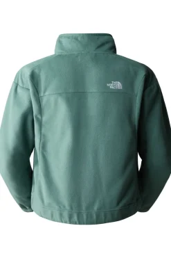 The North Face Fleece W Homesafe Snap Neck Pullover