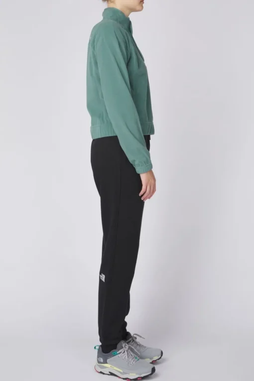 The North Face Fleece W Homesafe Snap Neck Pullover