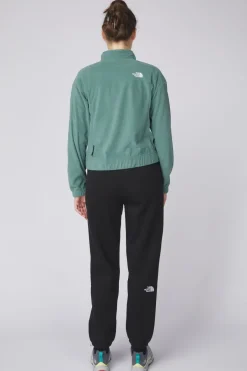The North Face Fleece W Homesafe Snap Neck Pullover