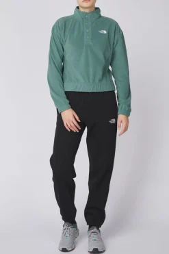 The North Face Fleece W Homesafe Snap Neck Pullover