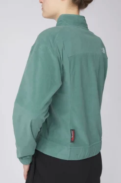 The North Face Fleece W Homesafe Snap Neck Pullover