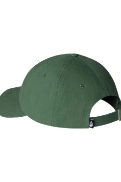 The North Face Pet Norm Hat